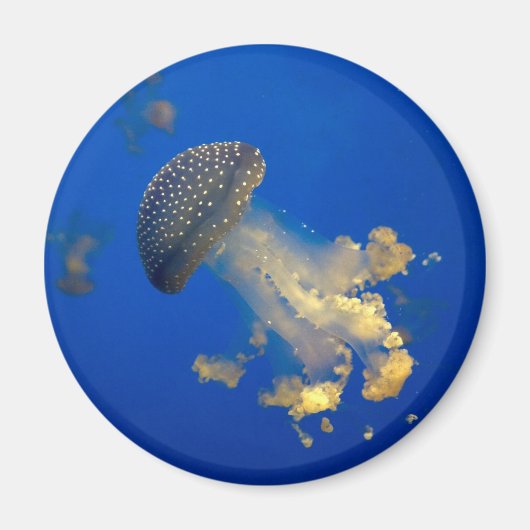 点状葉植物 マグネット (正面)