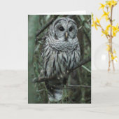 点、フクロウ カード (黄色い花)