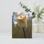 焙煎マシュマロ ポストカード (スタンド正面)