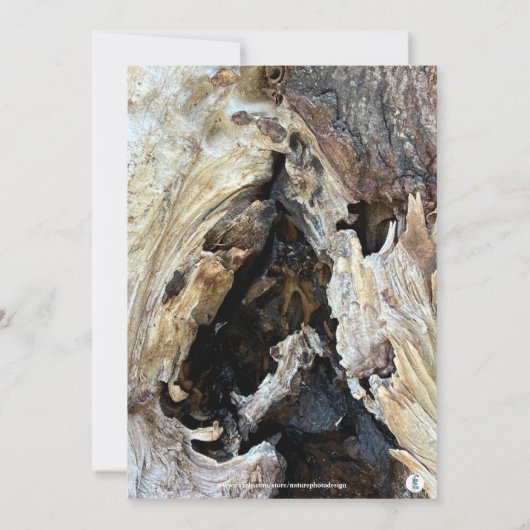 焚き火キャンプファイア焚き木写真招待状 招待状 (裏面)