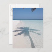 無人島のビーチのヤシの木の影 ポストカード (正面/裏面)