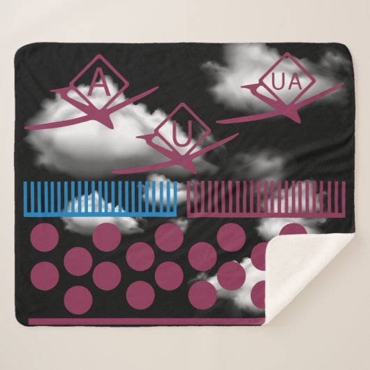 無人航空機ドローン シェルパブランケット (正面(横))