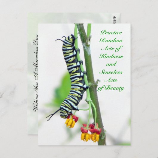 無作為な親切な行為 – (昆虫)オオカバマダラ、モナーク毛虫 ポストカード (正面/裏面)