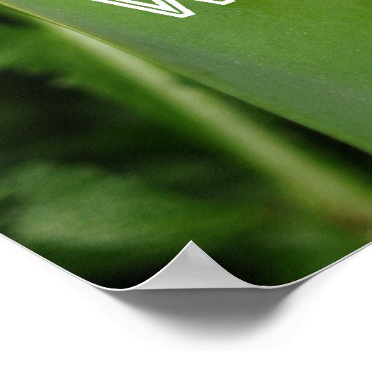 無作為な親切 ポスター (角)