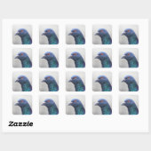 無作為な鳩 スクエアシール (シート)