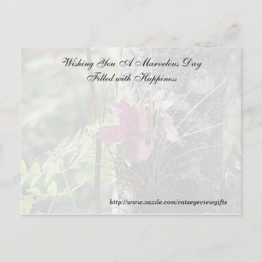 無作為の親切はがき – デイジー ポストカード (裏面)