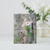 無作為の親切はがき – デイジー ポストカード (スタンド正面)