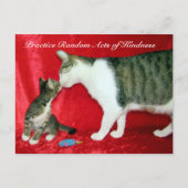 無作為の親切はがき – 私のパパ ポストカード (正面)