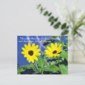 無作為の親切はがき – 黒い目のスーザン ポストカード (スタンド正面)