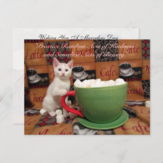 無作為の親切はがき – Audrey ポストカード (正面/裏面)