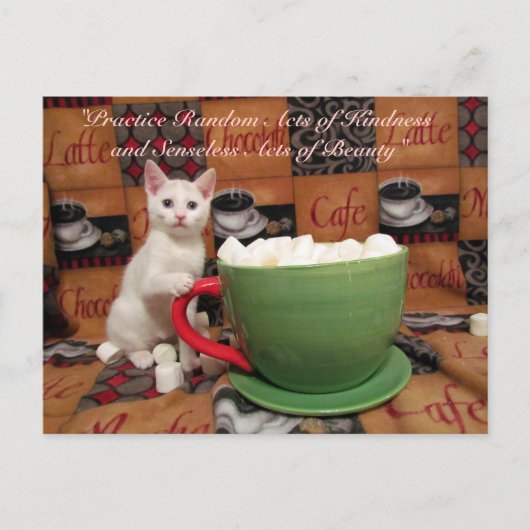 無作為の親切はがき – Audrey ポストカード (正面)