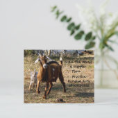 無作為の親切葉書（愛らしいヤギ） ポストカード (スタンド正面)