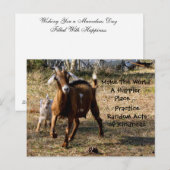 無作為の親切葉書（愛らしいヤギ） ポストカード (正面/裏面)