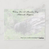 無作為の親切葉書 – Gorilla Edition ポストカード (裏面)