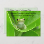 無作為の親切葉書 – Green Tree Frog ポストカード (正面/裏面)