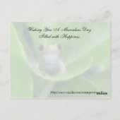 無作為の親切葉書 – Green Tree Frog ポストカード (裏面)