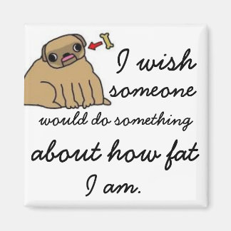 無力脂肪磁石 マグネット