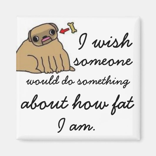 無力脂肪磁石 マグネット (正面)