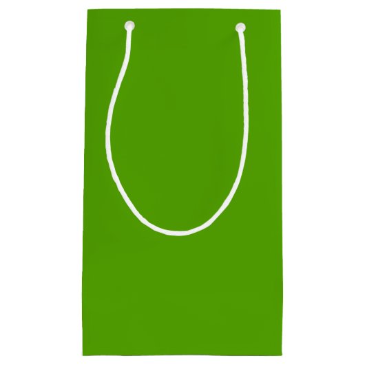 無地のすてき緑 スモールペーパーバッグ (正面)