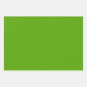 無地のすてき緑 ラッピングペーパーシート (正面2)