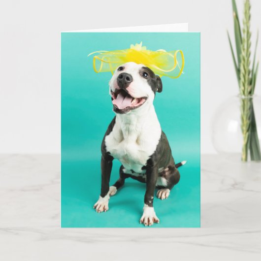 無地のグリーティングカード カード (正面)