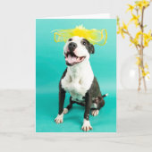 無地のグリーティングカード カード (黄色い花)