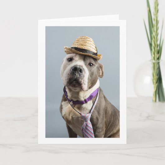 無地のグリーティングカード カード (正面)