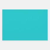 無地の色平明ターコイズ ラッピングペーパーシート (正面2)