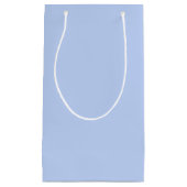 無地の色無地ペリウィンクル スモールペーパーバッグ (正面)