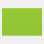 無地無地の色のオウム ラッピングペーパーシート (正面3)