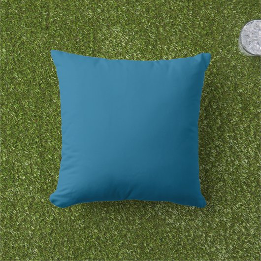 無地無地の色青枕 アウトドアクッション (芝生)