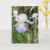 無地 ライトパープル アイリス フラワー カード (黄色い花)