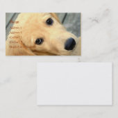 無垢なアビーの名刺 名刺 (正面/裏面)