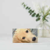 無垢なアビーの名刺 名刺 (スタンド正面)