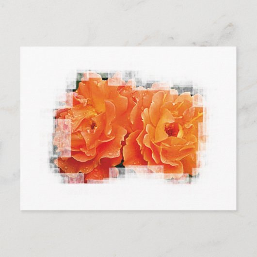 無垢のオレンジ ポストカード (正面)