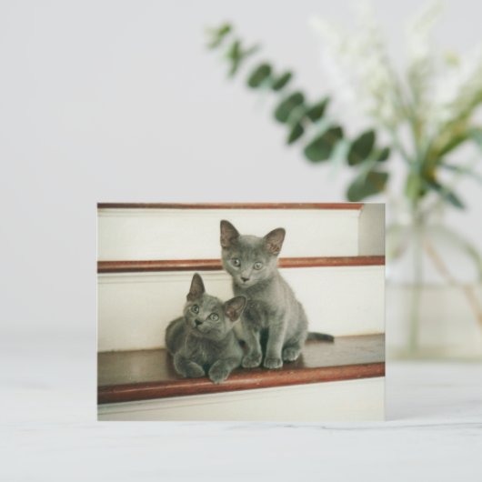 無垢はがき ポストカード (スタンド正面)