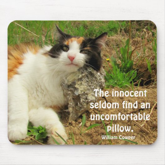 無実じゃないのか？ マウスパッド (正面)