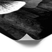 無実の年齢 ポスター (角)