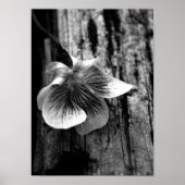 無実の年齢 ポスター (正面)