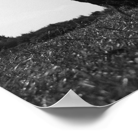 無実の最後の息 ポスター (角)