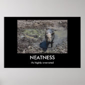 無性 ポスター (正面)