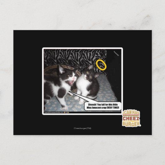 無恋しく思罪 ポストカード (正面)