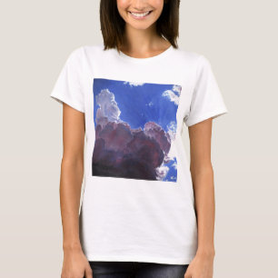 無情なライト2012年 Tシャツ