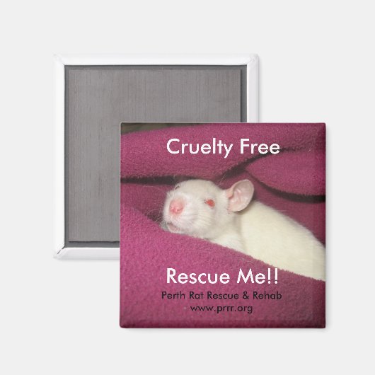 無情な マグネット (正面/裏面)