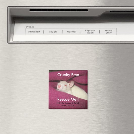 無情な マグネット (インサイチュ (食洗機))