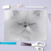 無愛想なペルシャ 薄葉紙 (クラフト)