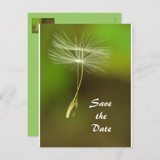 無感じ料飛んでいる- Dandelion種子 案内ポストカード (正面/裏面)