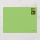 無感じ料飛んでいる- Dandelion種子 案内ポストカード (裏面)