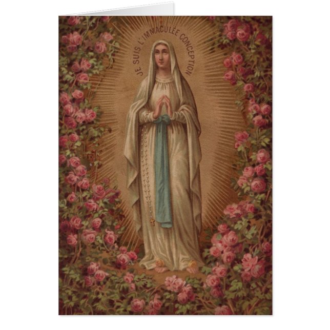 無斑概念 (正面)