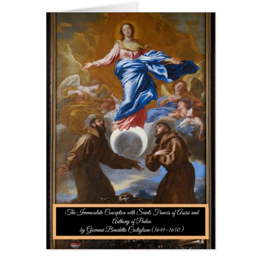 無斑概念 (正面)